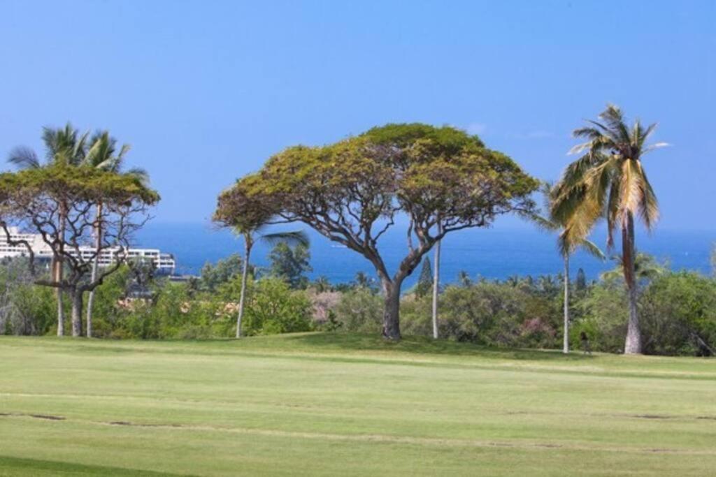 Beautiful 2/2 Condo In Kailua Kona. Ocean View! Exteriör bild
